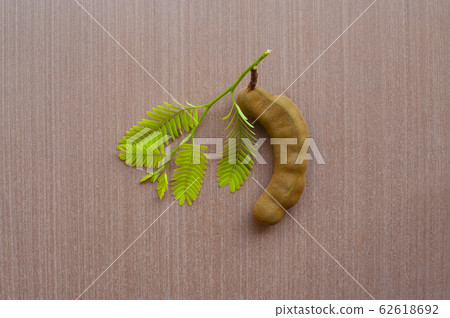 Green leaf and Tamarind on a wooden floor. , 62618692