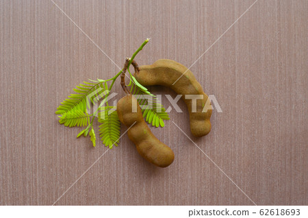 Green leaf and Tamarind on a wooden floor. , 62618693