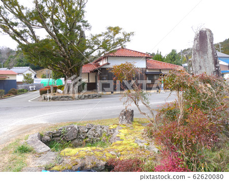 Big tree in Tamba Sasayama city "Kaya of Kasugae" / Tree age unknown, tree height 20m, trunk circumference 5.0m 62620080