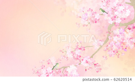 Background-Japanese-Japanese paper-Japanese style-Japanese pattern-Spring-Sakura-Branch-White-eye Background-Japanese-Japanese paper-Japanese style-Japanese pattern-Spring-Sakura-Branch-White-eye 62620514