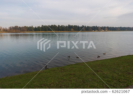 Lake Idroscalo in winter day 62621067