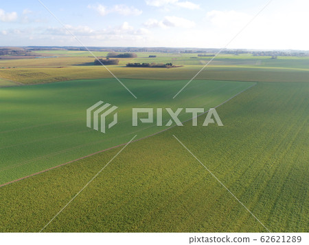 Aerial view of agriculture farmland during clouded day 62621289