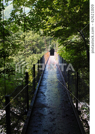Yamanashi / Nishizawa Valley Futamata Suspension Bridge (Futamata Suspension Bridge) Yamanashi / Nishizawa Valley Futamata Suspension Bridge (Futamata Suspension Bridge) 62621809