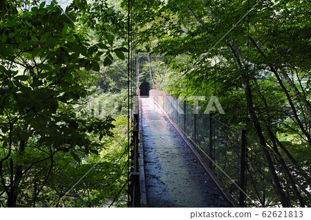 山梨縣/西澤谷二tam橋(二am橋) 山梨縣/西澤谷二tam橋(二am橋) 62621813