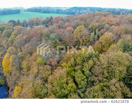 Aerial view of forest during autumn season, Belgium Aerial view of forest during autumn season, Belgium 62621878