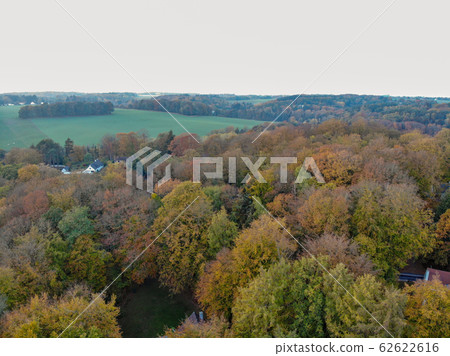 Aerial view of forest during autumn season, Belgium Aerial view of forest during autumn season, Belgium 62622616