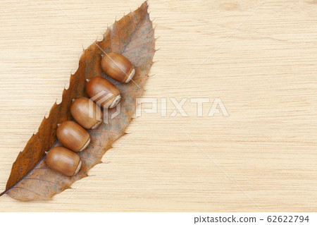 Abemaki fruit and leaves 62622794