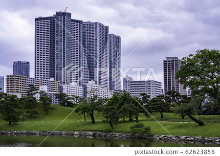 (Tokyo) Relaxing space in Tokyo, Hamarikyu Gardens early summer 62623858