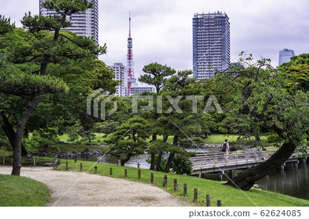（東京）初夏東京濱海花園的休閒空間 62624085