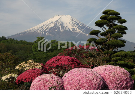 Mt. Fuji Satsuki 62624093