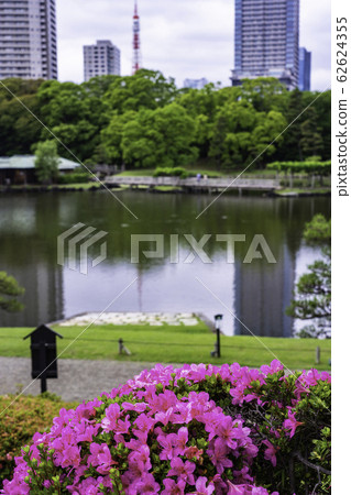 （東京）東京的放鬆空間，小月盛開的濱ari宮花園初夏 62624355