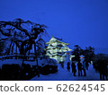 弘前城堡雪燈節 62624545