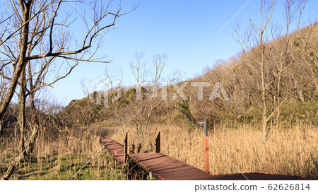 凸起的沼澤 凸起的沼澤 62626814