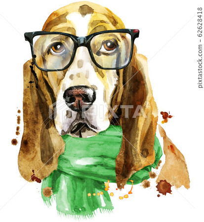 Watercolor portrait of basset hound with glasses and green scarf 62628418