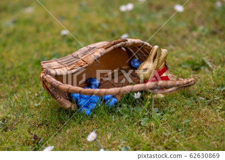 Little bunny sitting in a basket with chocolate Easter eggs 62630869