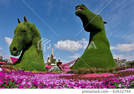 迪拜奇蹟花園景觀 迪拜奇蹟花園景觀 62632744