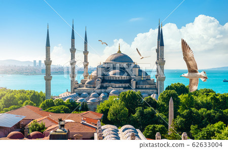 Blue Mosque and Bosphorus 62633004