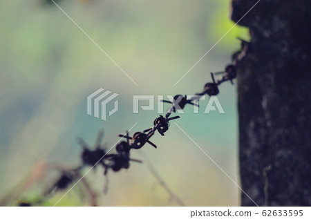 fence fence 62633595