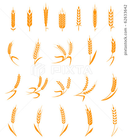 Set of simple and stylish Wheat Ears icons and design elements for beer, organic local farm fresh food, bakery themed design. 62633642