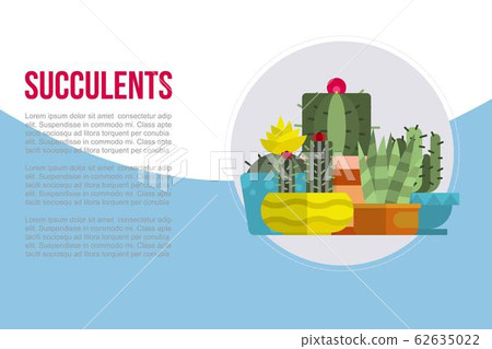 Indoor plants, succulents rosettes varieties including pin cushion cactus realistic collection vector illustration. Cacti and succulents banner with text and typography. 62635022