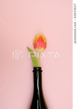 Flowers in the bottle on pink background. 62635637
