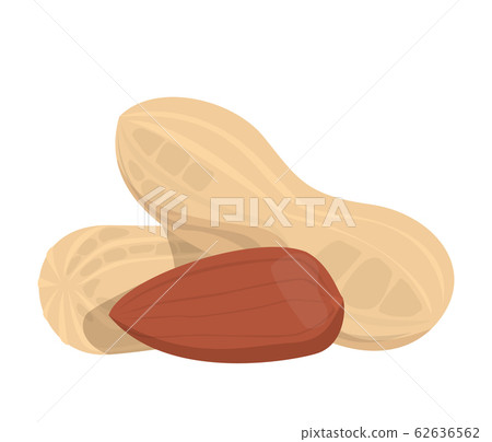 Peanuts in the shell vector isolated. Fresh Peanuts in the shell vector isolated. Fresh 62636562