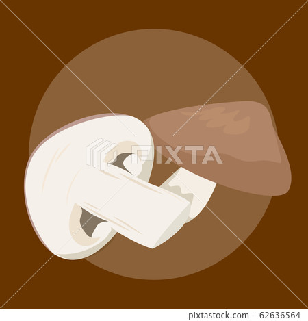 Shiitake mushroom vector isolated. Edible fungus, Shiitake mushroom vector isolated. Edible fungus, 62636564