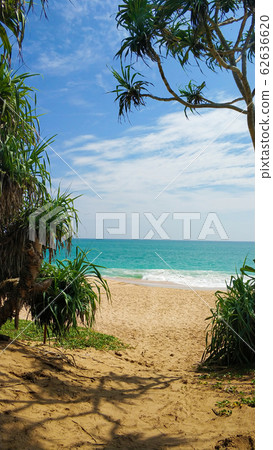 Sandy coast of the ocean. Paradise tropical island Sandy coast of the ocean. Paradise tropical island 62636620