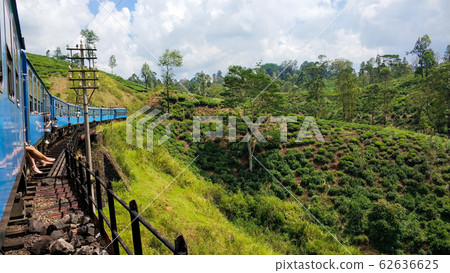 Passenger train with tourists rides through the 62636625