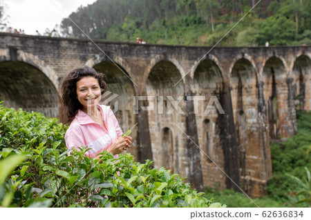 A tourist poses in a tea plantation near the A tourist poses in a tea plantation near the 62636834