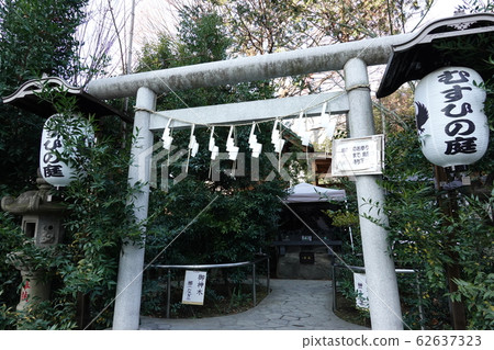 結論花園川越熊野神社川越 62637323