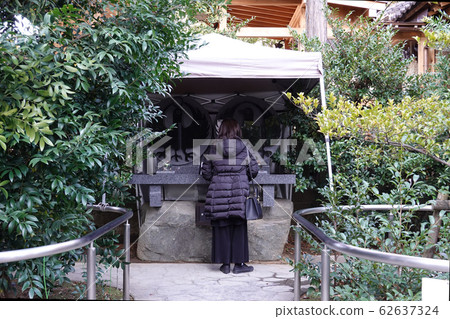 結論花園川越熊野神社川越 62637324