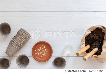 Eco friendly pots for seedlings cucumber Eco friendly pots for seedlings cucumber 62637484