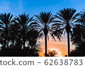 美麗的日落 62638783