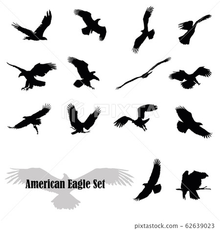 Set of vector american eagles Set of vector american eagles 62639023