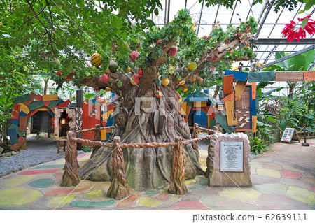 [OKINAWA Fruit Land] Nago-shi, Okinawa 62639111