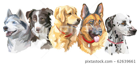 Set of big dog breeds Set of big dog breeds 62639661