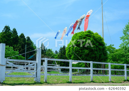 [Saitama] Chichibu/Yoyama Park Fureai Ranch Carp Streamer 62640392