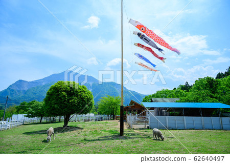 [Sa玉]秩父/山山公園富仁牧場鯉魚旗 62640497