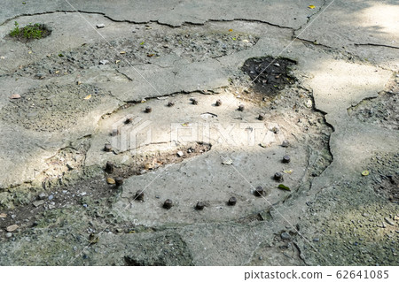 [Sarushima Battery Remains] 62641085