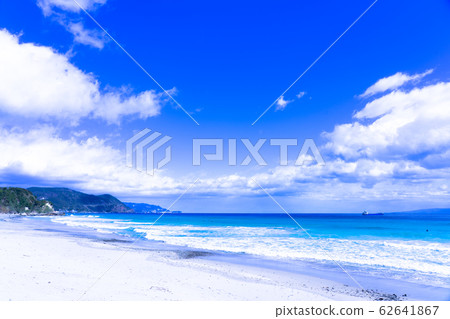 海洋綠（伊豆白濱） 62641867