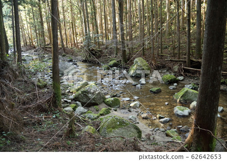 Kuwanoki瀑布（街道，苔蘚，瀑布），日本的100個瀑布[和歌山縣新宮市愛賀市] 62642653