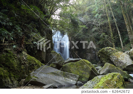 Kuwanoki瀑布（街道，苔蘚，瀑布），日本的100個瀑布[和歌山縣新宮市愛賀市] 62642672