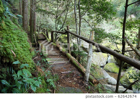Kuwanoki瀑布（街道，苔蘚，瀑布），日本的100個瀑布[和歌山縣新宮市愛賀市] 62642674