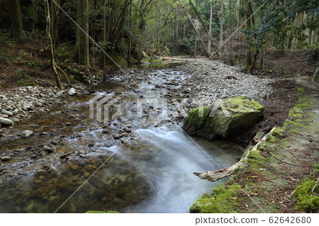 Kuwanoki瀑布（街道，苔蘚，瀑布），日本的100個瀑布[和歌山縣新宮市愛賀市] 62642680