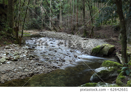 Kuwanoki瀑布（街道，苔蘚，瀑布），日本的100個瀑布[和歌山縣新宮市愛賀市] 62642681