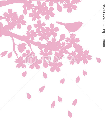 Cherry blossom, bird, spring, silhouette, shadow picture, paper cut 62644250