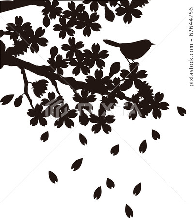 cherry tree branch silhouette