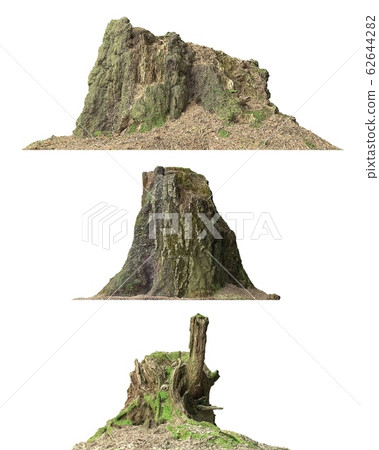 Stump dead tree isolated on white 3d illustration 62644282