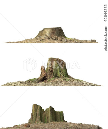 Stump dead tree isolated on white 3d illustration 62644283
